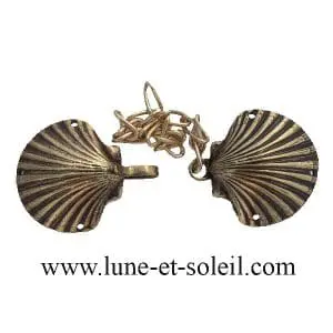 Coquilles Saint-Jacques pour cape