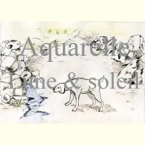 Chapitre Français 1er ordre Tableau rituelique chien