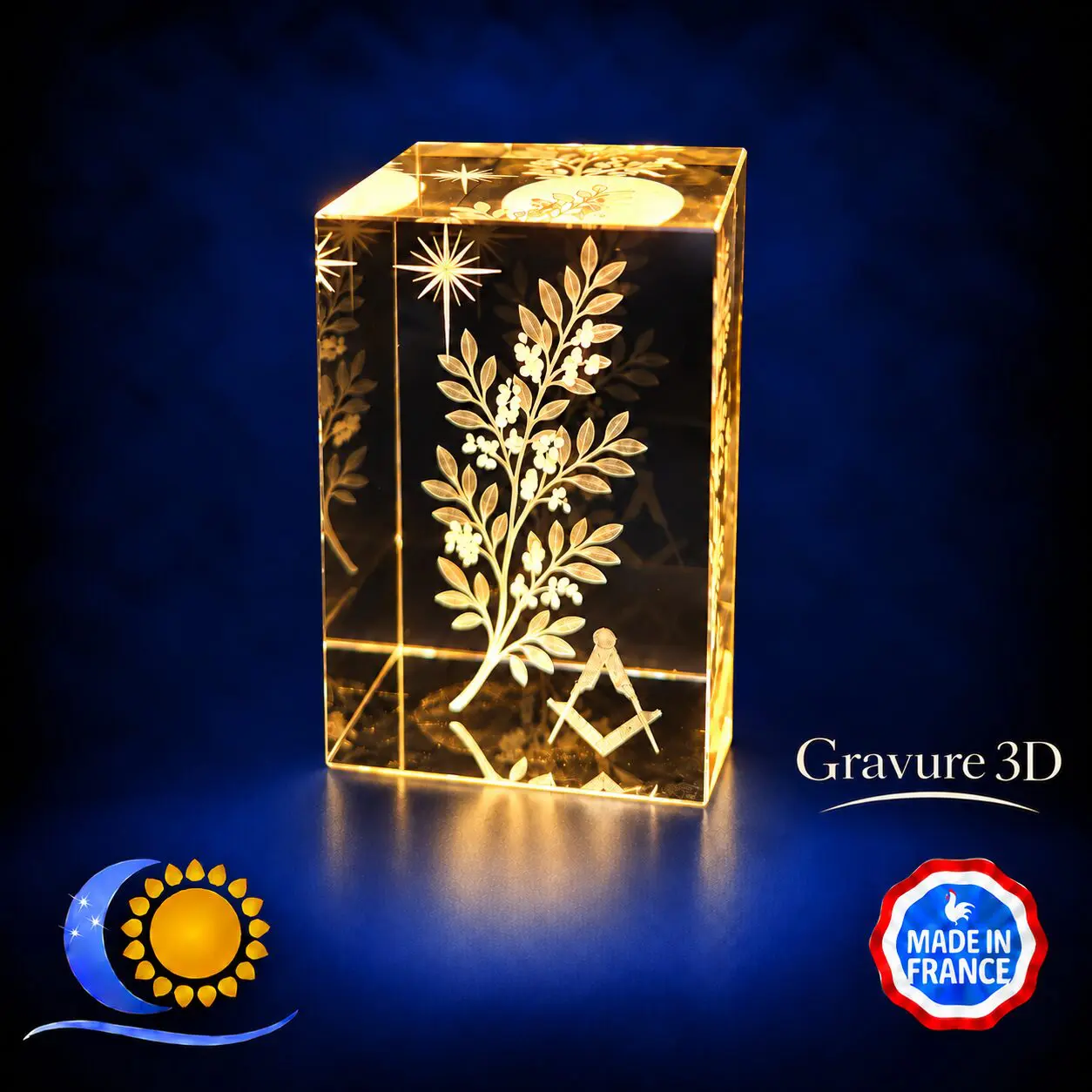 Bloc cristal K9 gravure 3D branche acacia